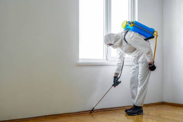 Best Residential Pest Control  in Towanda, KS